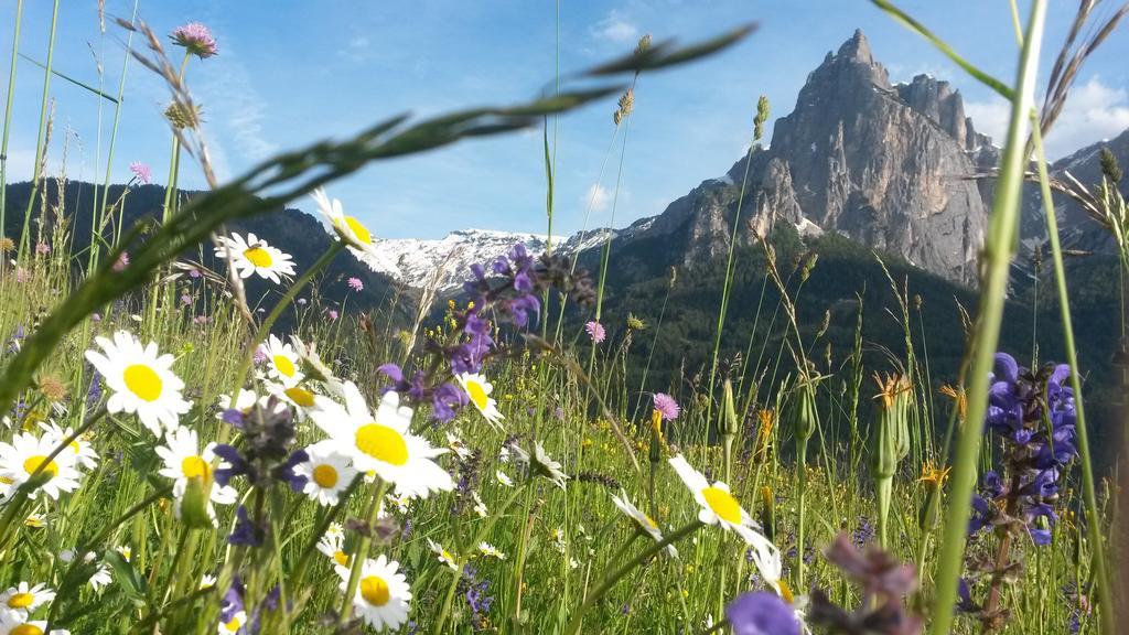 Eden Apartments Siusi Dış mekan fotoğraf